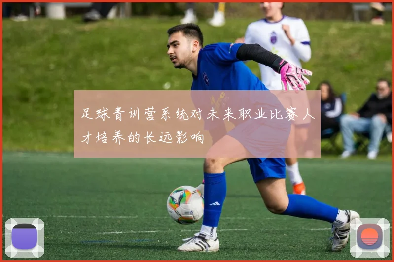 足球青训营系统对未来职业比赛人才培养的长远影响