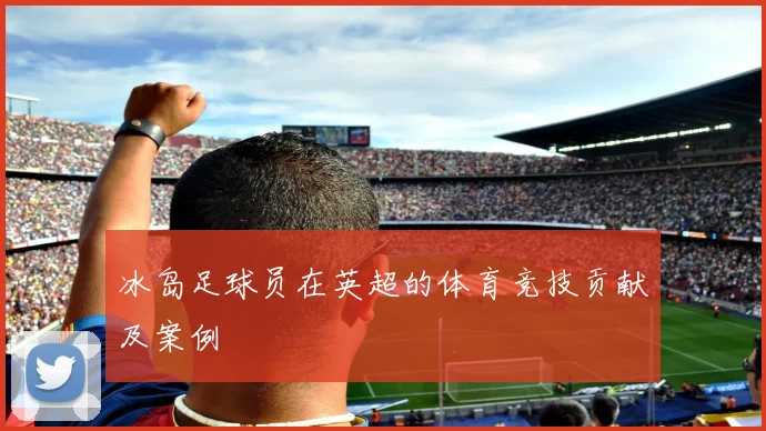 冰岛足球员在英超的体育竞技贡献及案例