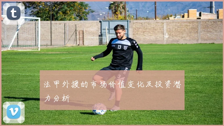 法甲外援的市场价值变化及投资潜力分析