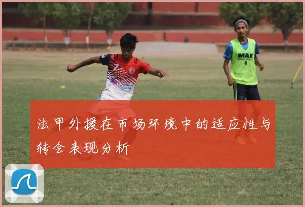 法甲外援在市场环境中的适应性与转会表现分析