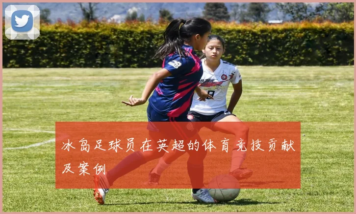 冰岛足球员在英超的体育竞技贡献及案例