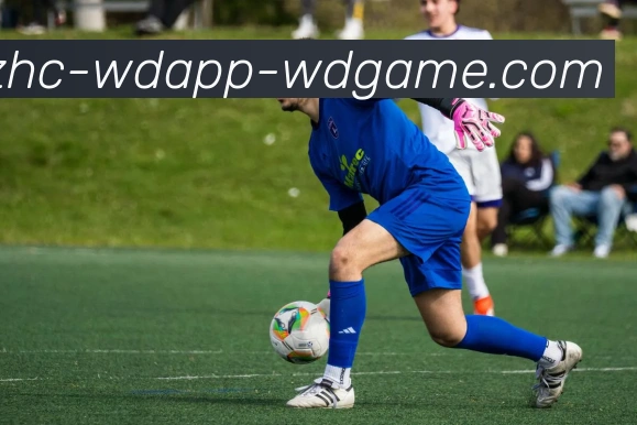 问鼎娱乐平台生态图